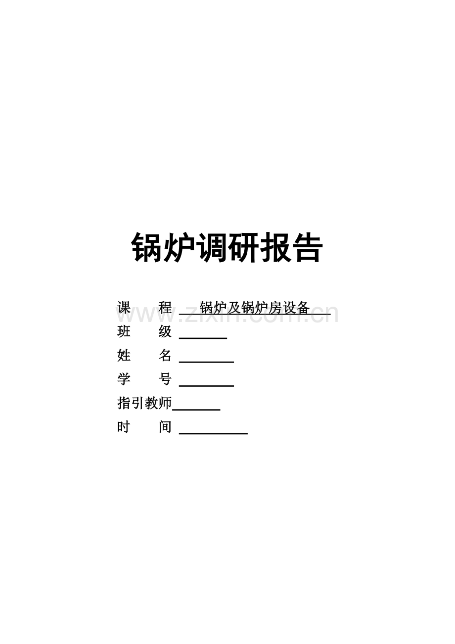 锅炉调研分析报告.doc_第1页