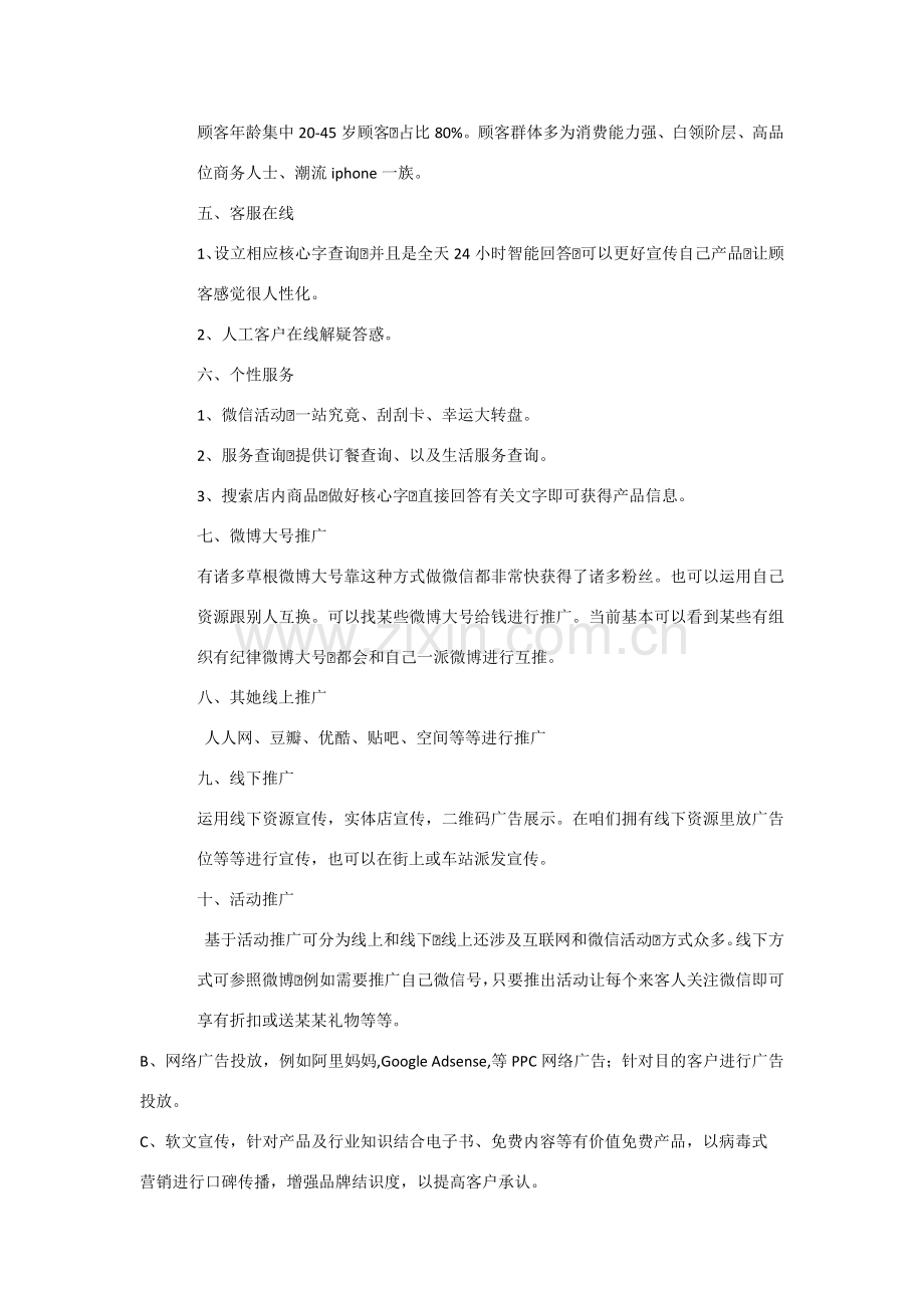 运营专项方案专业资料.doc_第3页