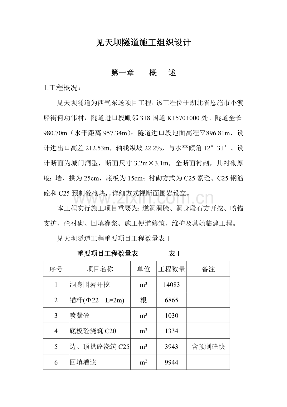 见天坝隧道综合项目施工组织设计.doc_第1页