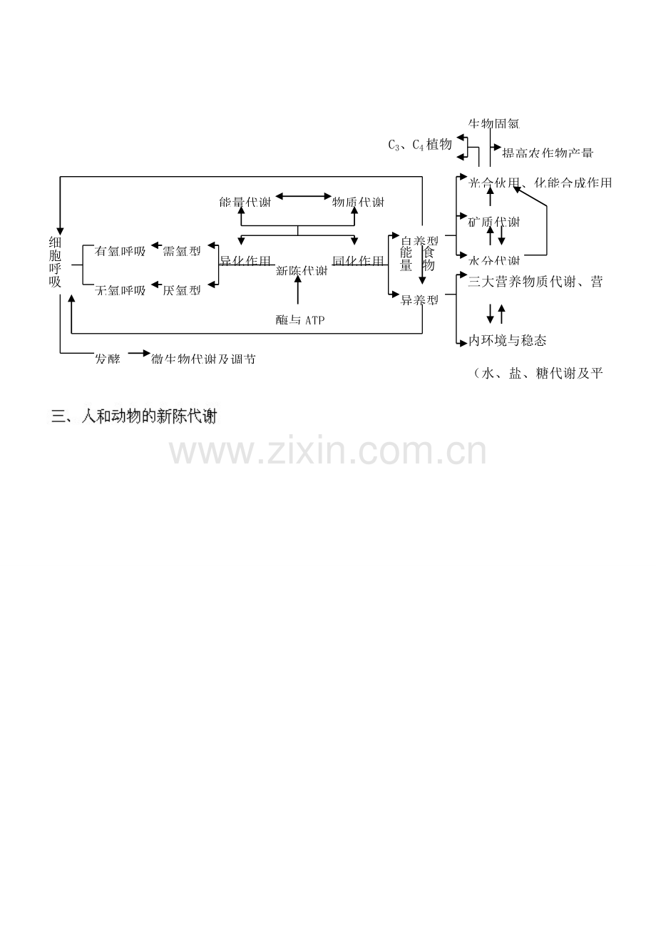 高中生物知识标准体系框架图.doc_第2页