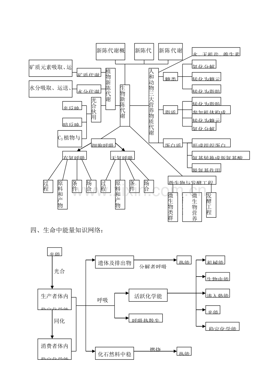 高中生物知识标准体系框架图.doc_第3页