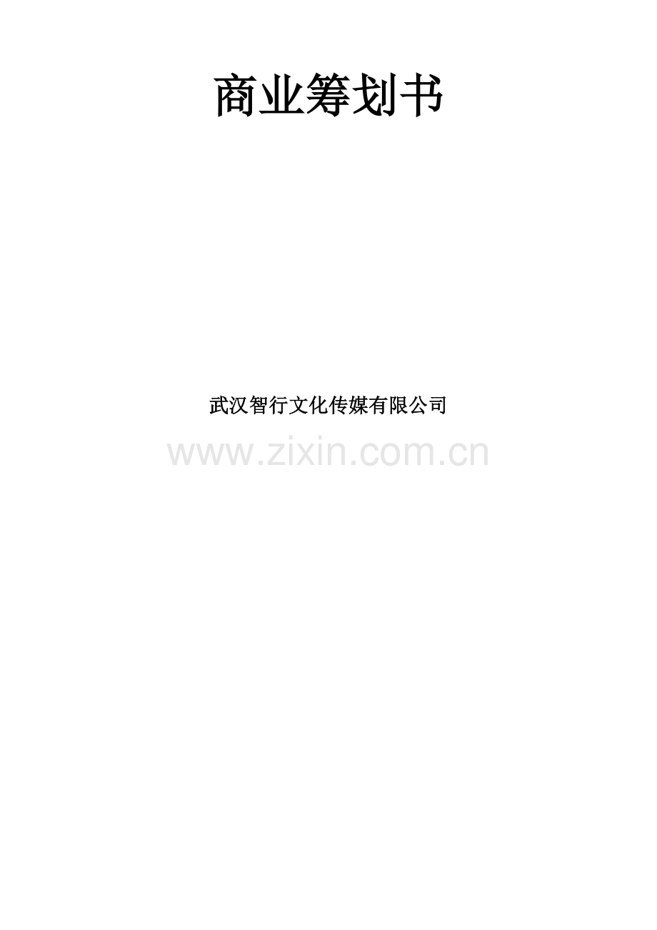 文化传媒有限公司商业综合计划书.docx_第1页