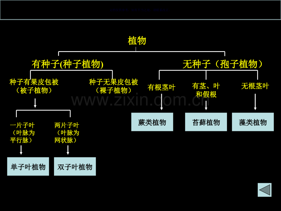 生物的多样性和其保护复习省公共课一等奖全国赛课获奖课件.pptx_第3页