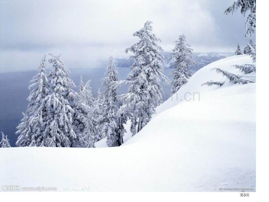 雪地里的小画家课件8省公开课一等奖新名师比赛一等奖课件.pptx_第3页