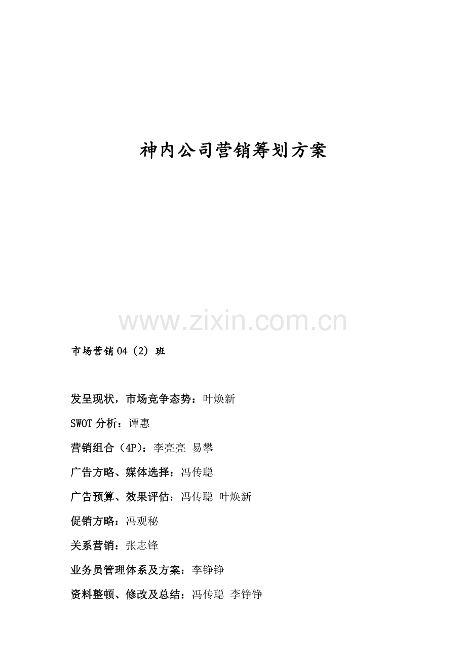 神内公司营销专题策划专题方案.docx_第1页