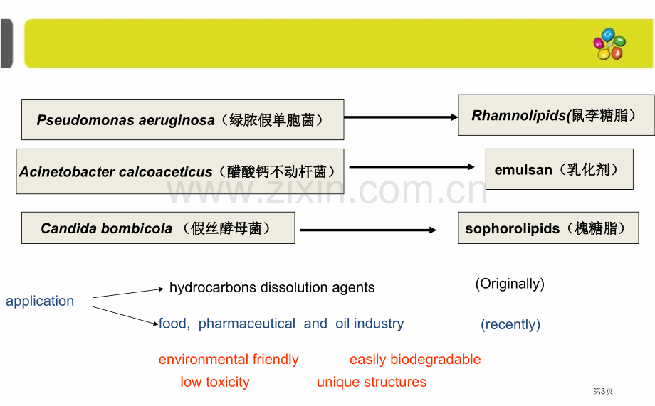 生物表面活性剂市公开课一等奖百校联赛特等奖课件.pptx_第3页