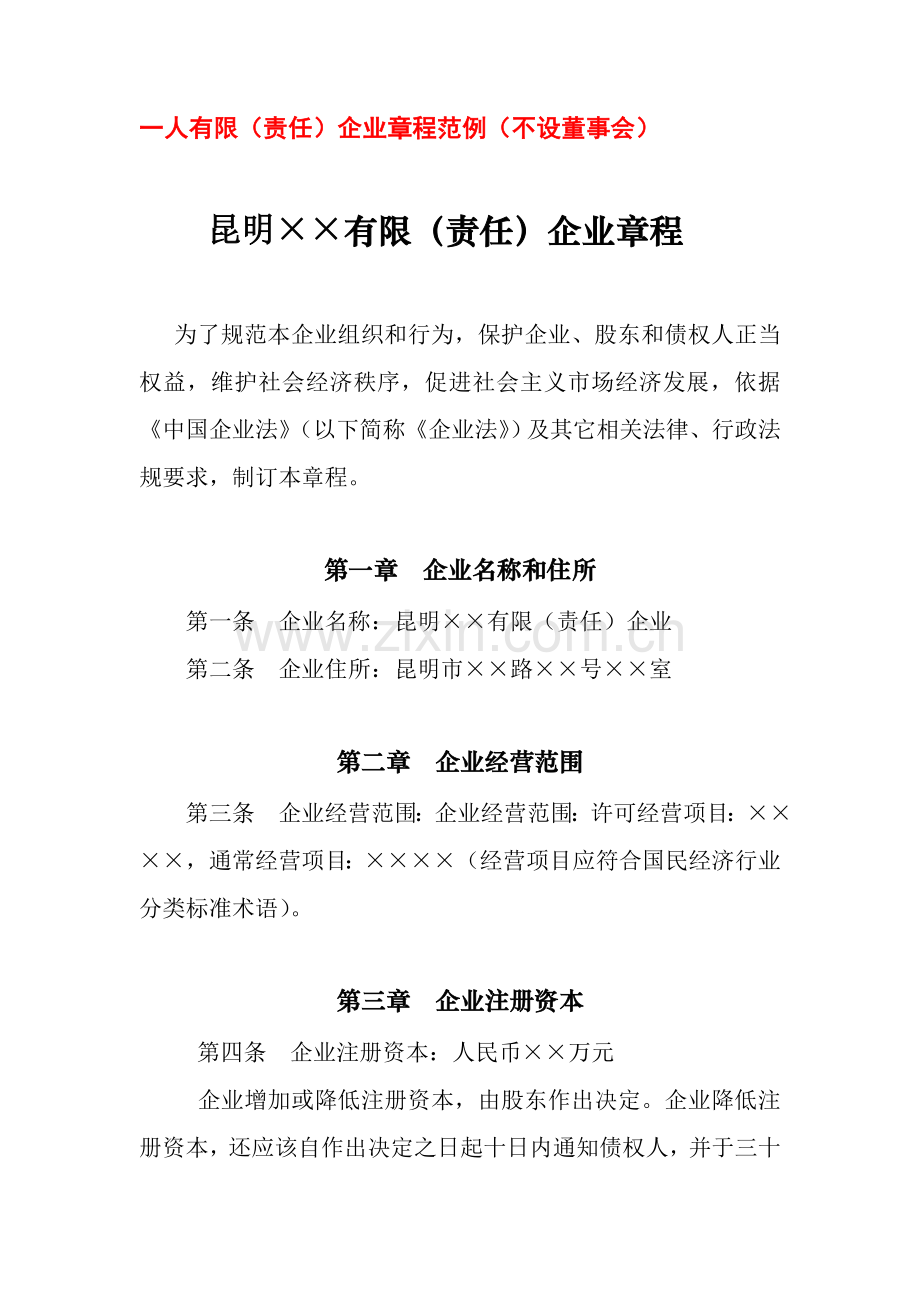 一人有限责任公司新版章程范例不设董事会.doc_第1页