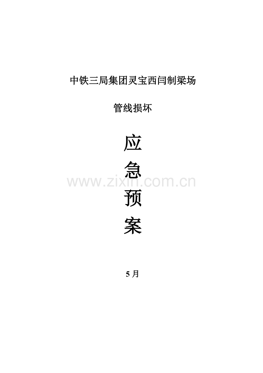 管线损坏应急专项预案.doc_第1页