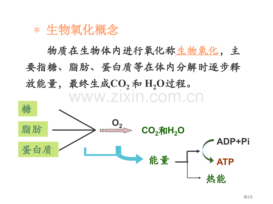 新版生物氧化市公开课一等奖百校联赛特等奖课件.pptx_第2页