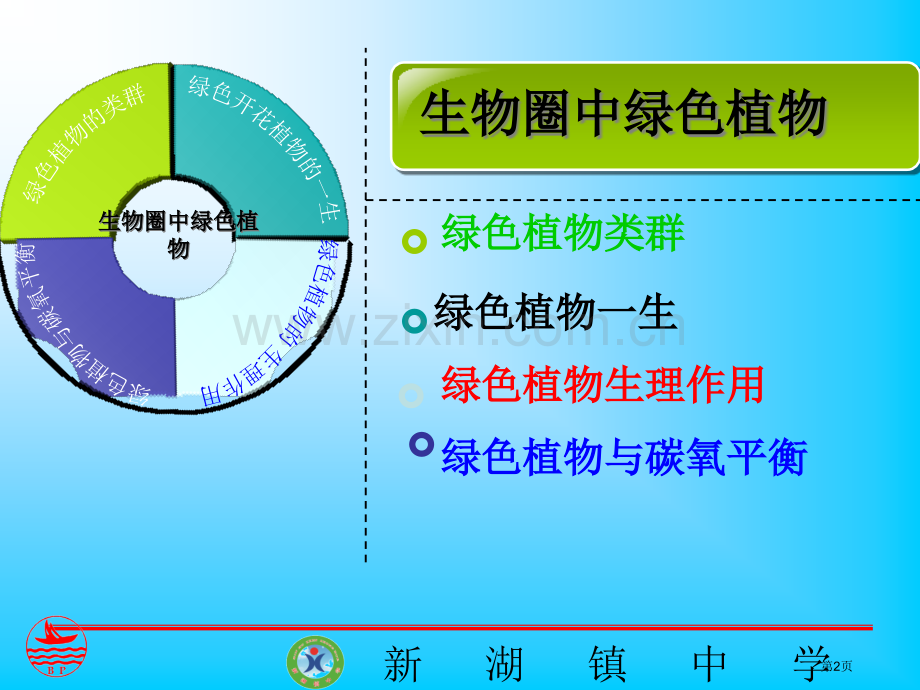 生物圈中的绿色植物专题复习省公共课一等奖全国赛课获奖课件.pptx_第2页