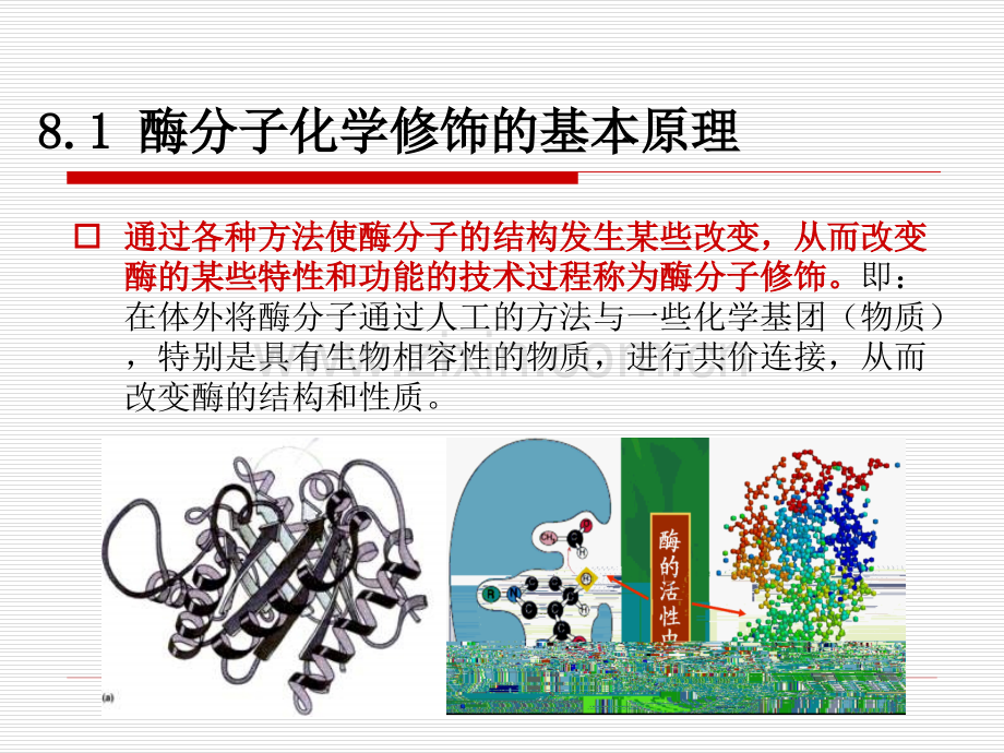 酶分子的化学修饰省公共课一等奖全国赛课获奖课件.pptx_第3页