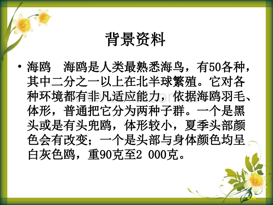 老人与海鸥课件9省公开课一等奖新名师比赛一等奖课件.pptx_第2页