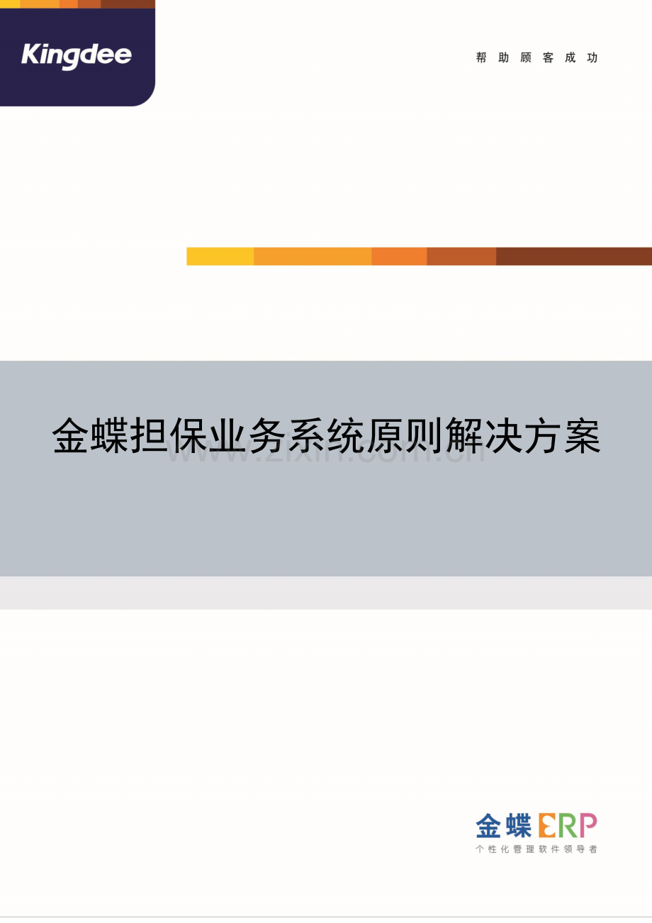 金蝶担保业务系统统一标准解决专项方案.doc_第1页