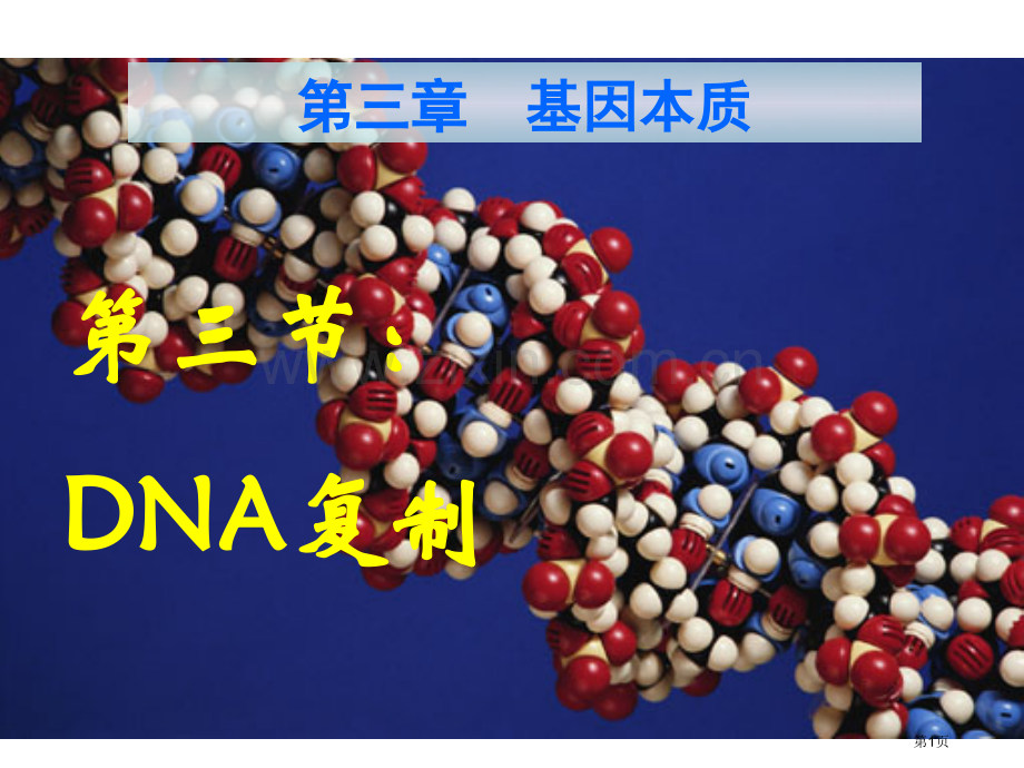 高中生物必修二DNA的复制省公共课一等奖全国赛课获奖课件.pptx_第1页