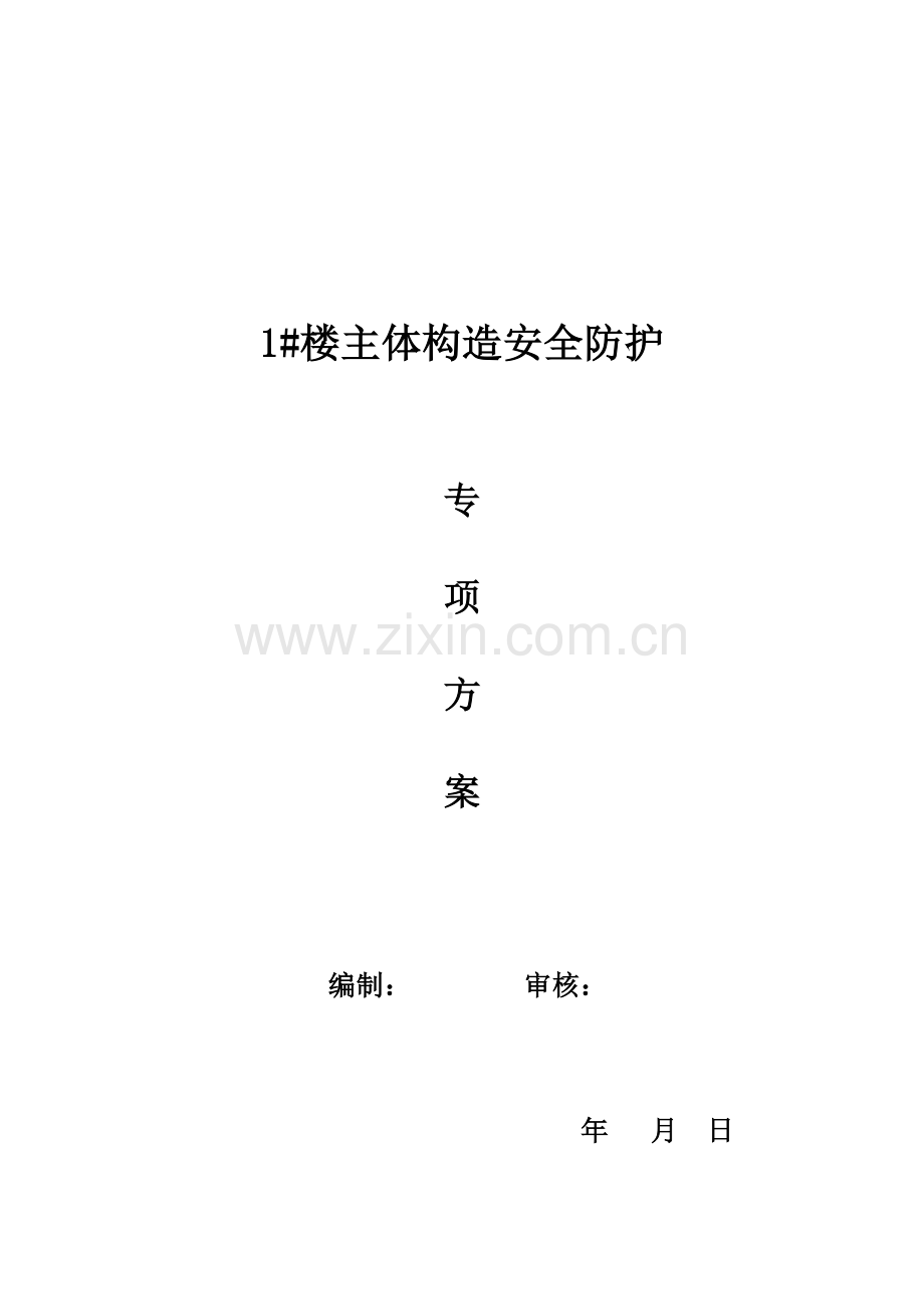 楼主体结构安全防护专项专题方案.docx_第1页