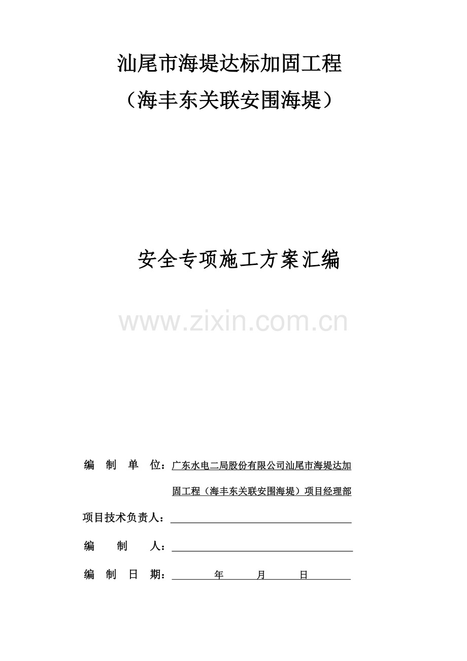 海堤安全专项综合项目施工专项方案.doc_第1页