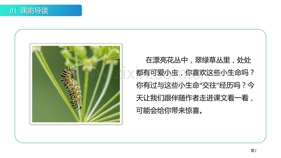 我是一只小虫子课件省公开课一等奖新名师比赛一等奖课件.pptx_第2页