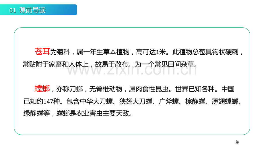 我是一只小虫子课件省公开课一等奖新名师比赛一等奖课件.pptx_第3页