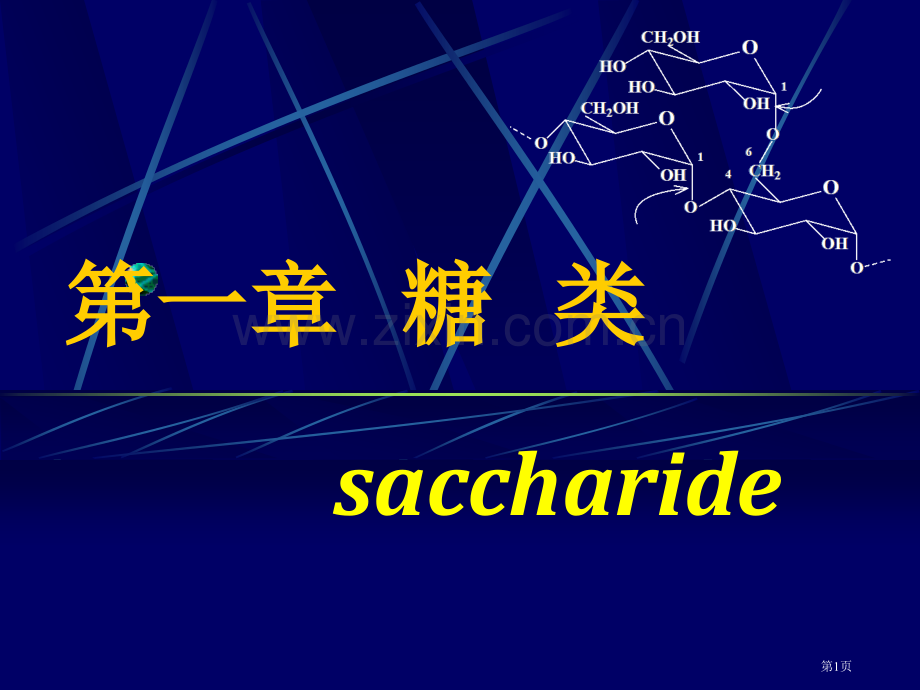 生物化学糖类省公共课一等奖全国赛课获奖课件.pptx_第1页