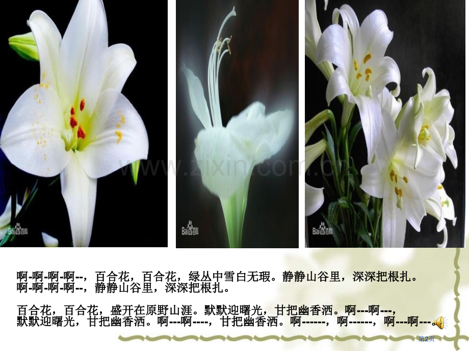 百合花省公开课一等奖新名师比赛一等奖课件.pptx_第2页