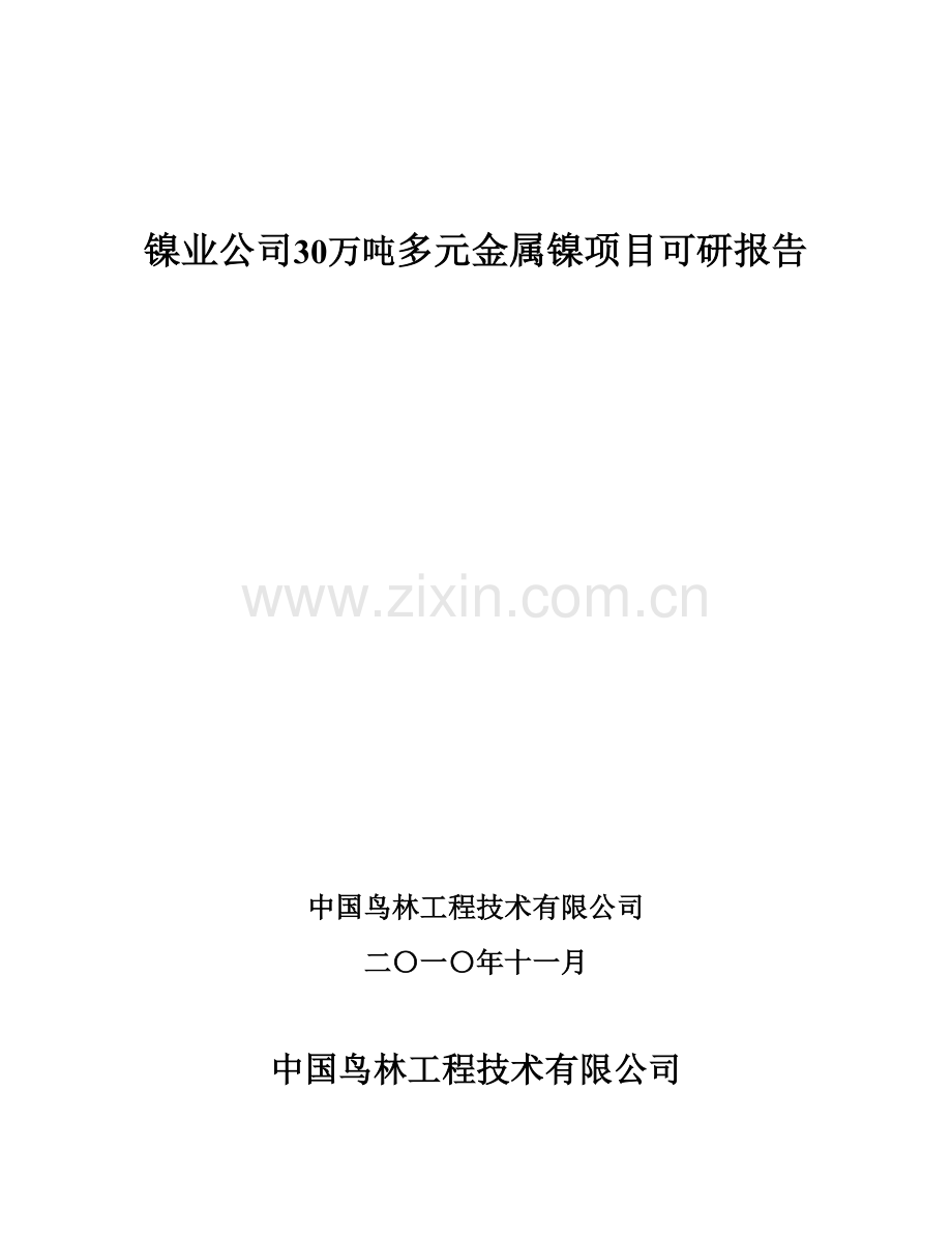 30万吨多元金属镍项目建设可行性研究报告.doc_第1页