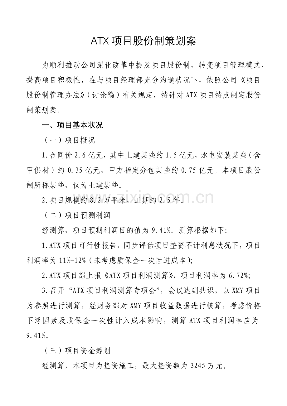 综合项目股份制专业策划专项方案.doc_第1页