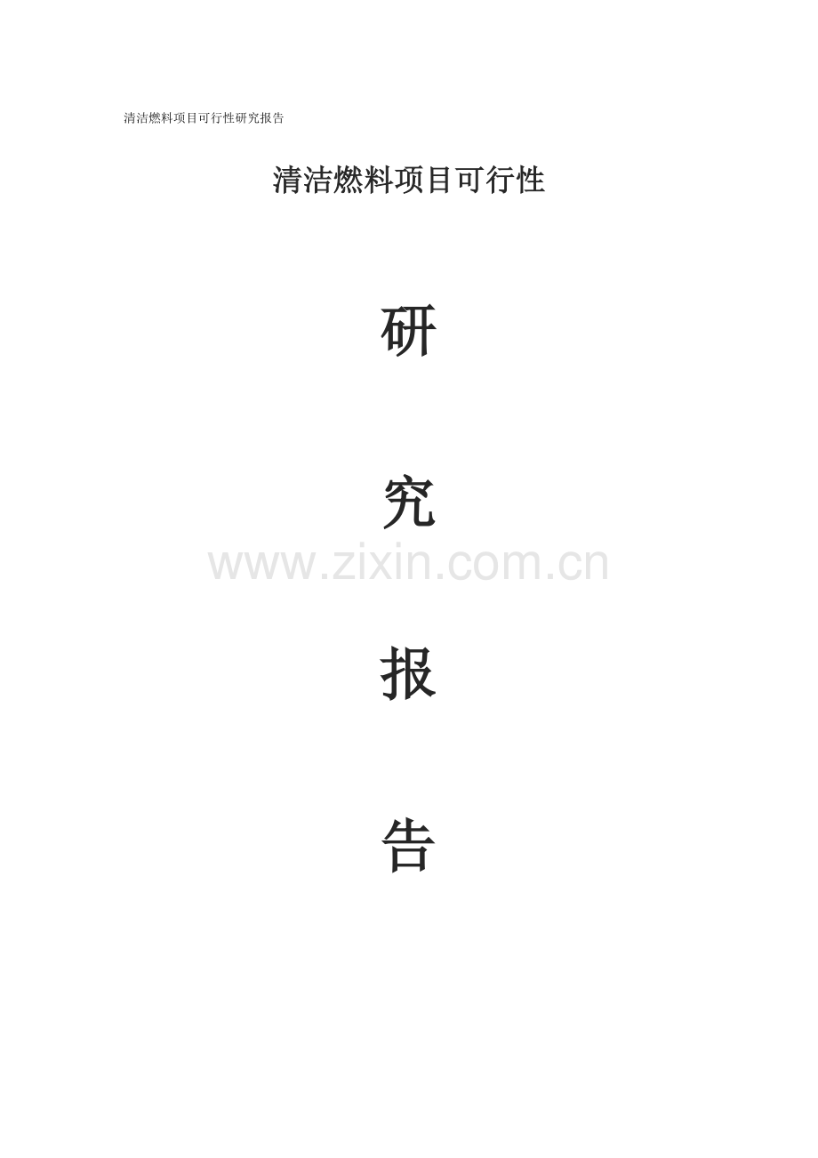 清洁燃料专项项目可行性专题研究报告.docx_第1页