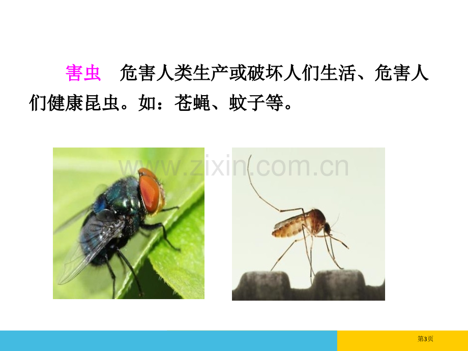 识字5-动物儿歌86PP省公开课一等奖新名师比赛一等奖课件.pptx_第3页