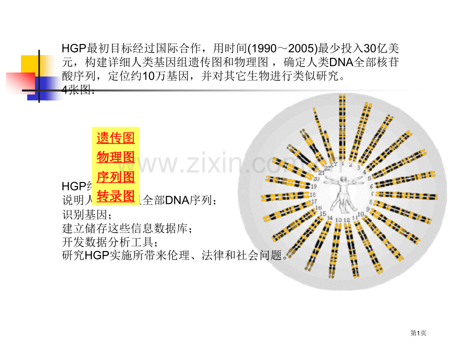 生物信息学生物信息学绪省公共课一等奖全国赛课获奖课件.pptx_第1页