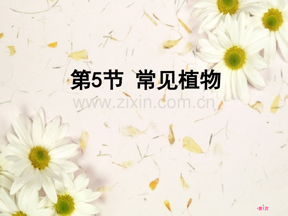 常见的植物-一省公开课一等奖新名师比赛一等奖课件.pptx_第1页