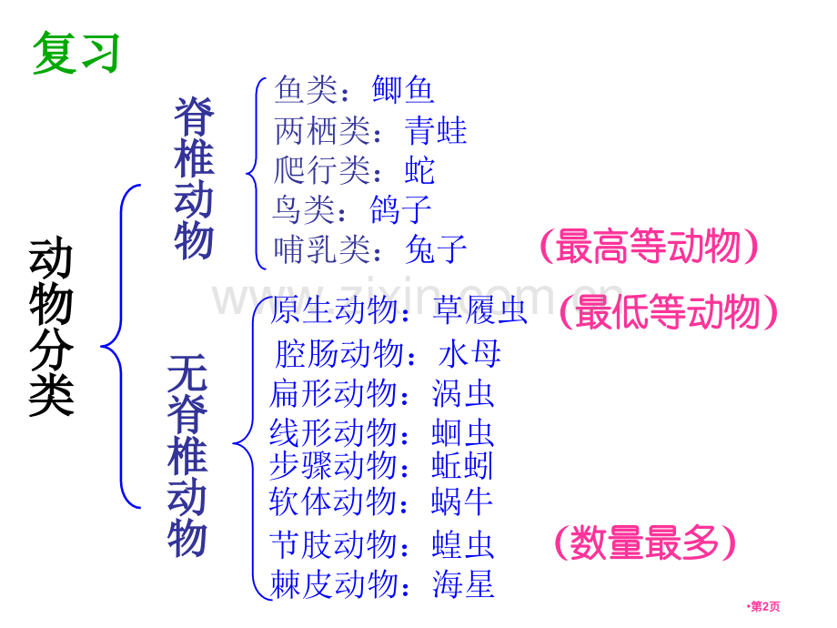 常见的植物-一省公开课一等奖新名师比赛一等奖课件.pptx_第2页