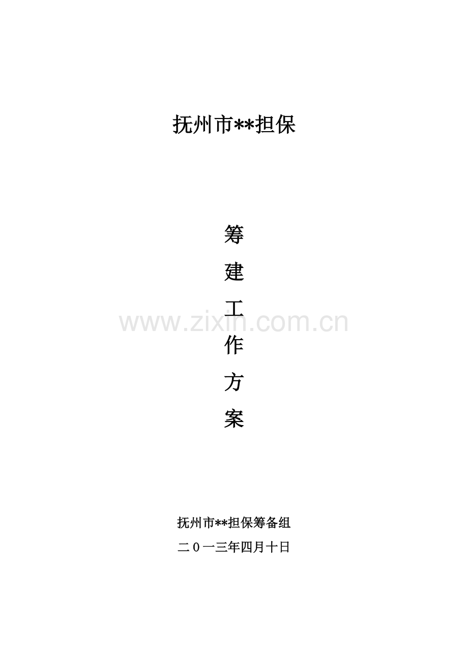 担保公司筹建工作专项方案.doc_第1页