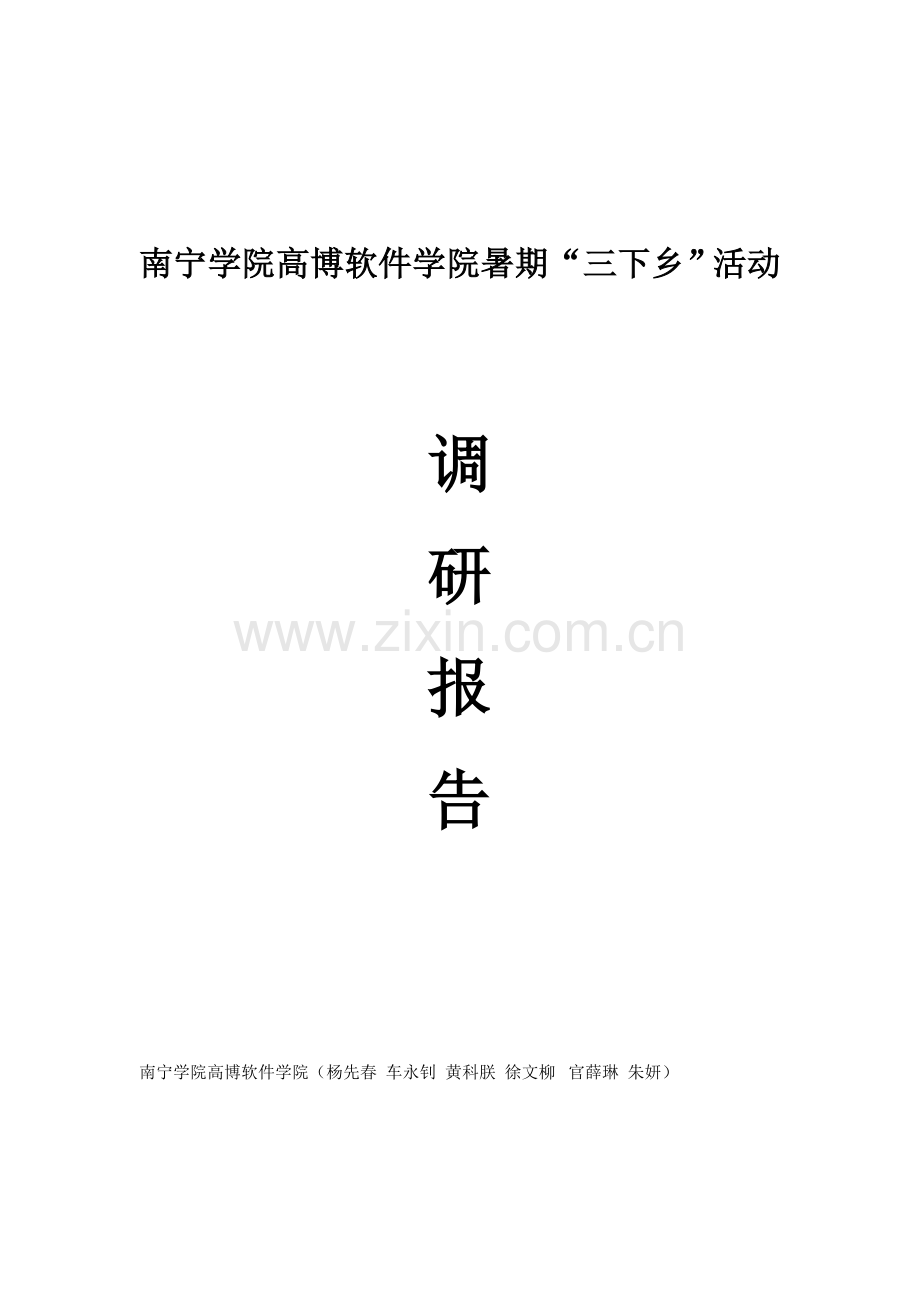 暑期三下乡调研分析报告.docx_第1页