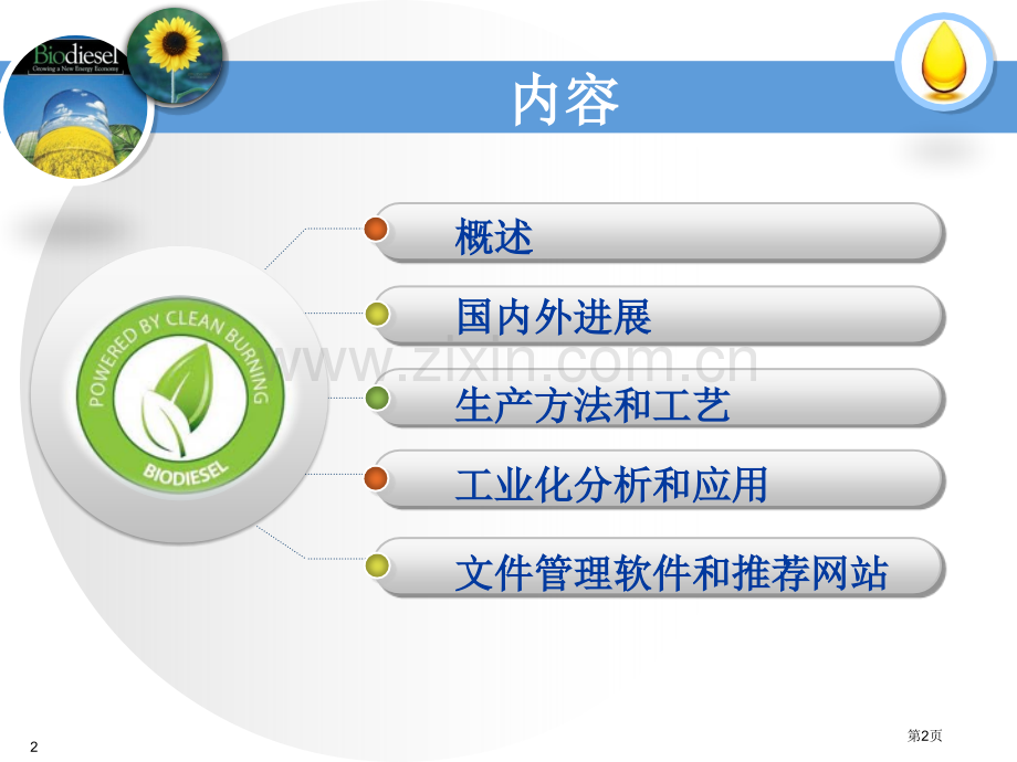 生物柴油历史进展方法应用完全资料市公开课一等奖百校联赛特等奖课件.pptx_第2页