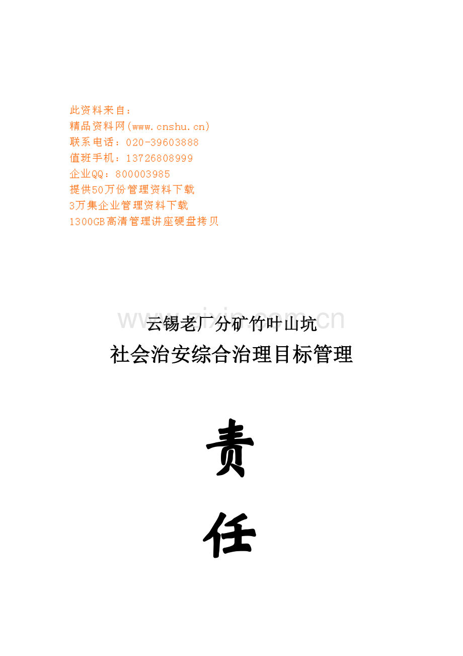 社会治安综合治理责任书模板模板.doc_第1页