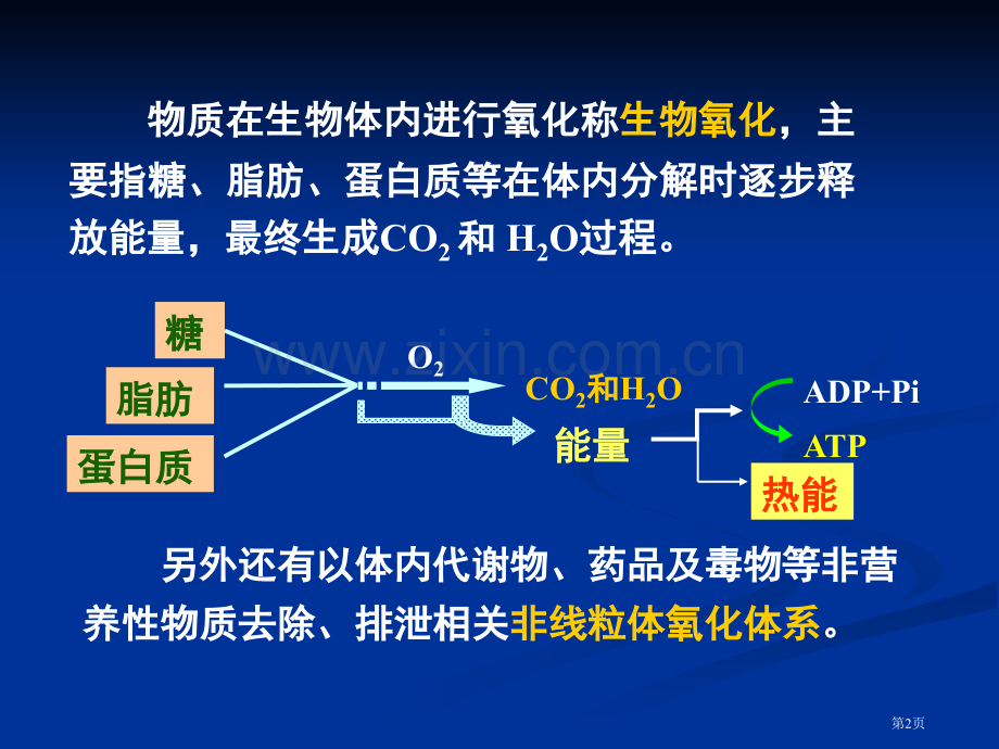 第四章--生物氧化省公共课一等奖全国赛课获奖课件.pptx_第2页