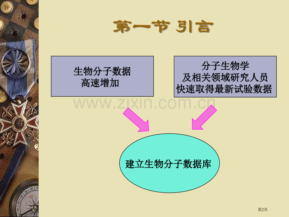 生物分子数据库市公开课一等奖百校联赛特等奖课件.pptx_第2页