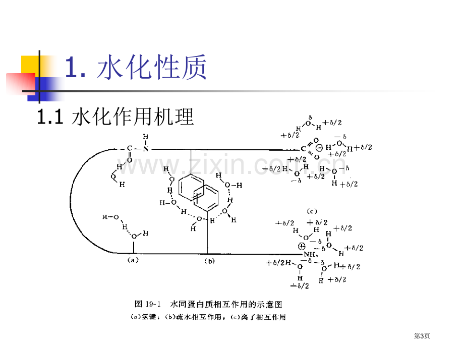 蛋白质的加工化学省公共课一等奖全国赛课获奖课件.pptx_第3页