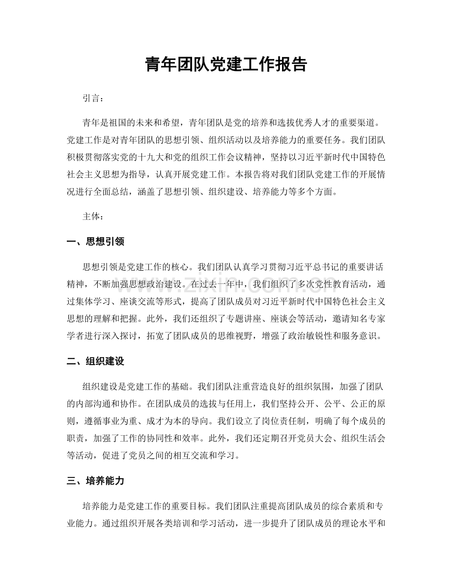 青年团队党建工作报告.docx_第1页