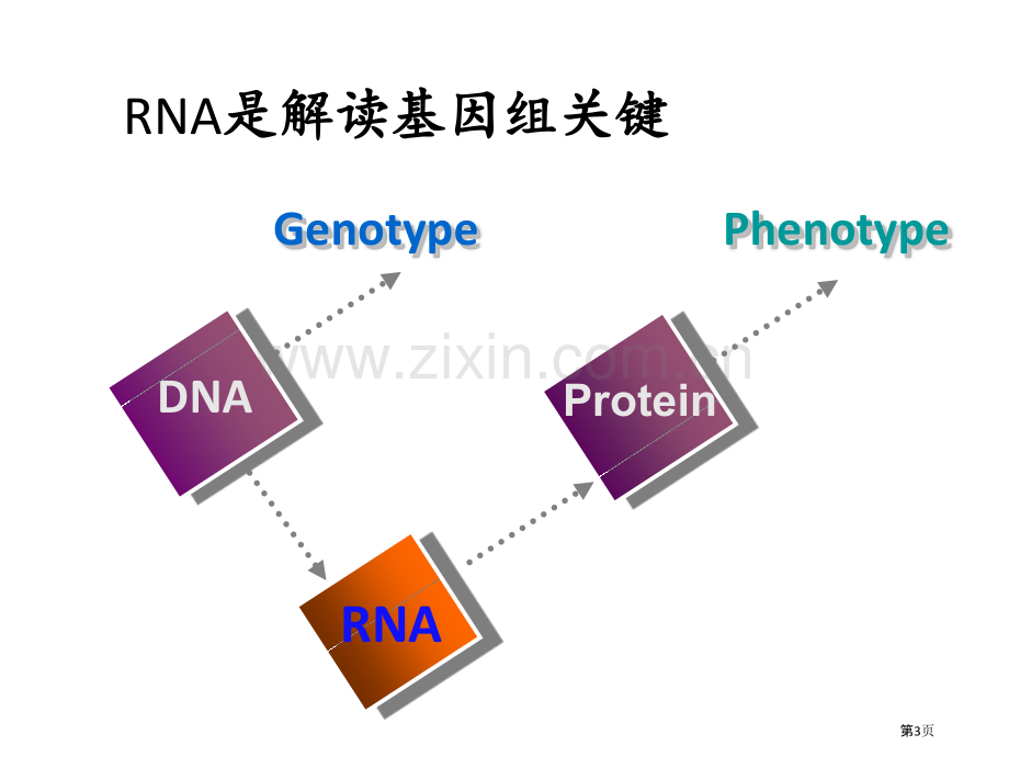 系统生物学转录组学省公共课一等奖全国赛课获奖课件.pptx_第3页