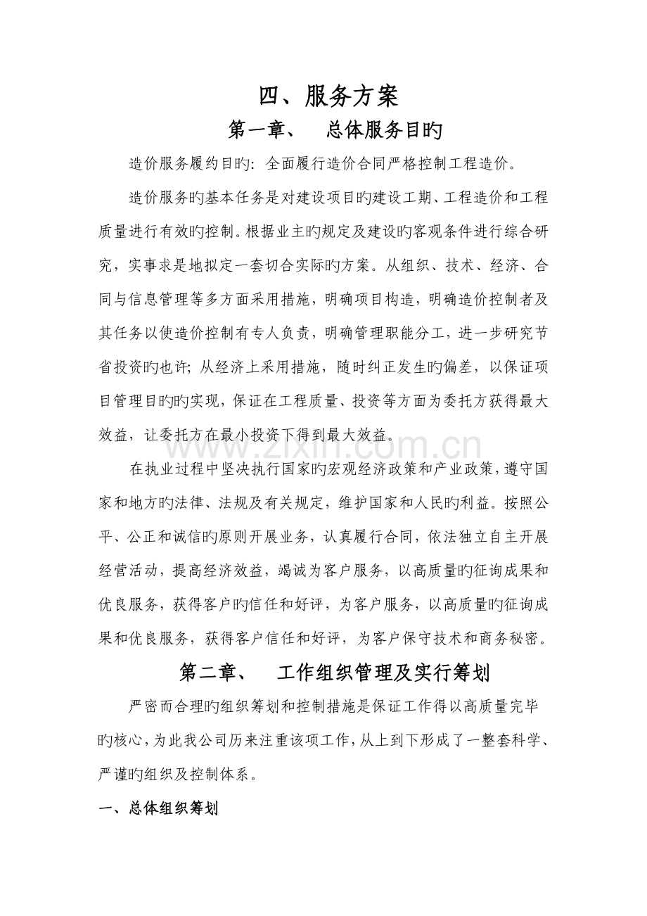 服务专题方案格式.docx_第1页