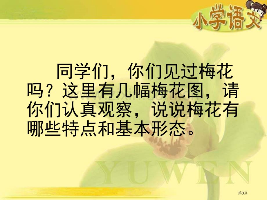 湘教版三年级上册新春赏梅课件市公开课一等奖百校联赛特等奖课件.pptx_第3页