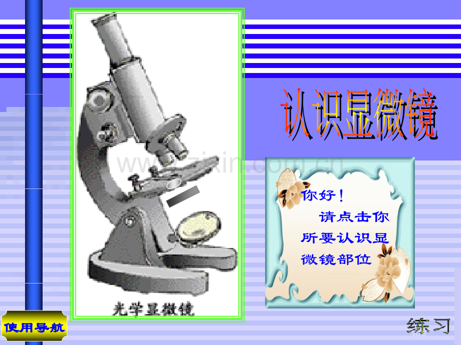 显微镜的结构和使用复习省公共课一等奖全国赛课获奖课件.pptx_第3页