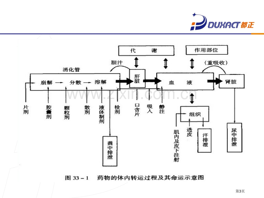 生物样品前处置省公共课一等奖全国赛课获奖课件.pptx_第3页