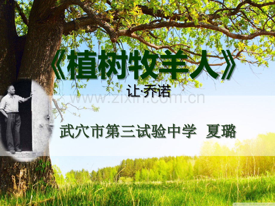 获奖植树的牧羊人市公开课一等奖百校联赛获奖课件.pptx_第1页