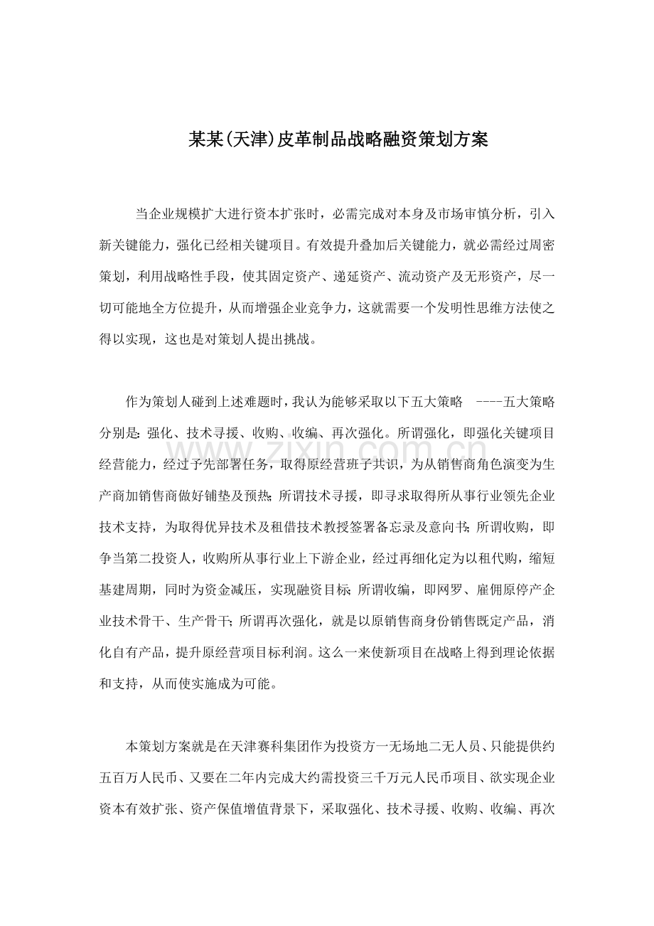 皮革制品公司战略融资策划方案分析样本.doc_第1页