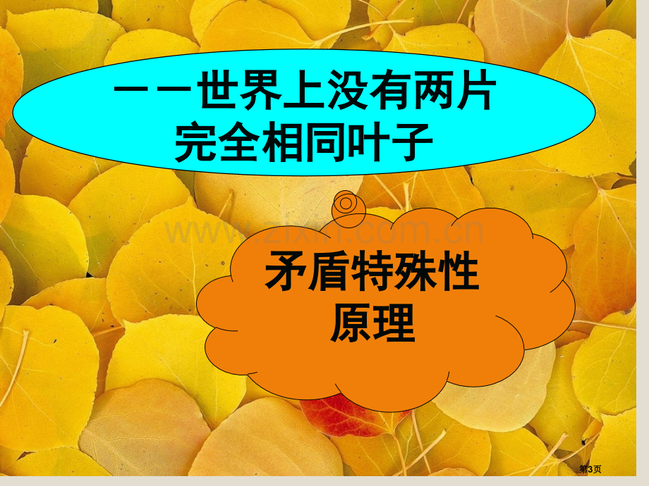 新人教版必修学年高二政治生活处处有哲学市公开课一等奖百校联赛特等奖课件.pptx_第3页