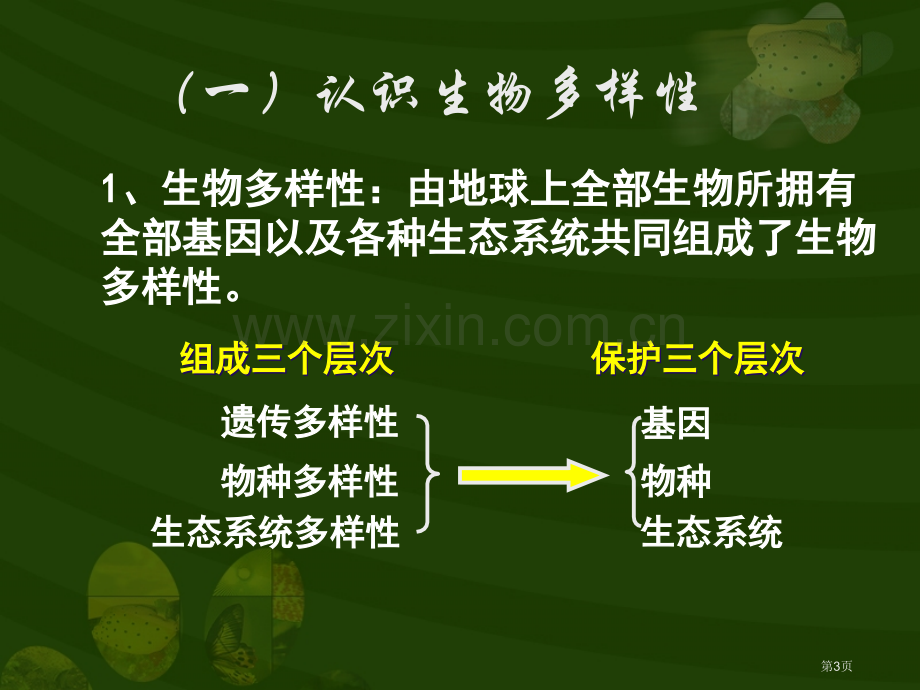 生物多样性及其保护省公共课一等奖全国赛课获奖课件.pptx_第3页