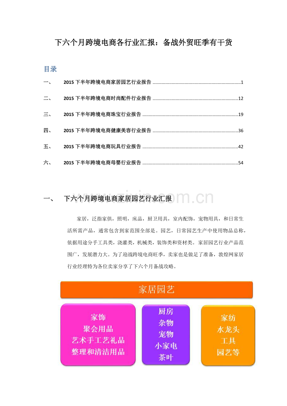 跨境电商各行业报告模板.docx_第1页