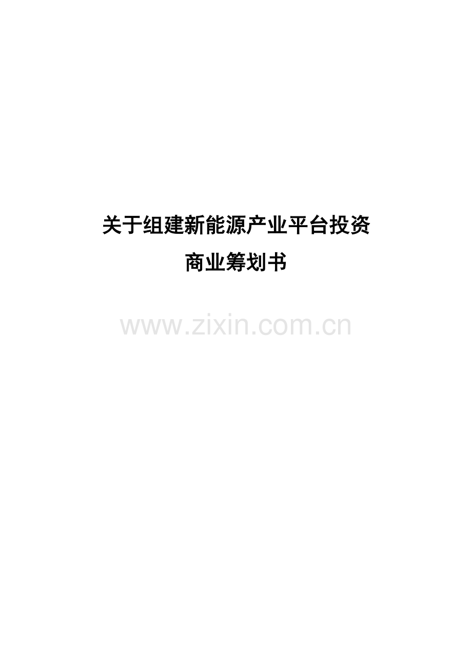 新能源产业投资商业专题计划书.doc_第1页